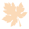 Fall-LP-04 Fall LP 04