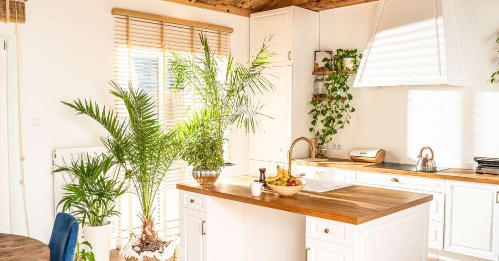 Bright kitchen with wooden countertops, green potted plants, fruit bowl on the island, and sunlight streaming through window blinds.