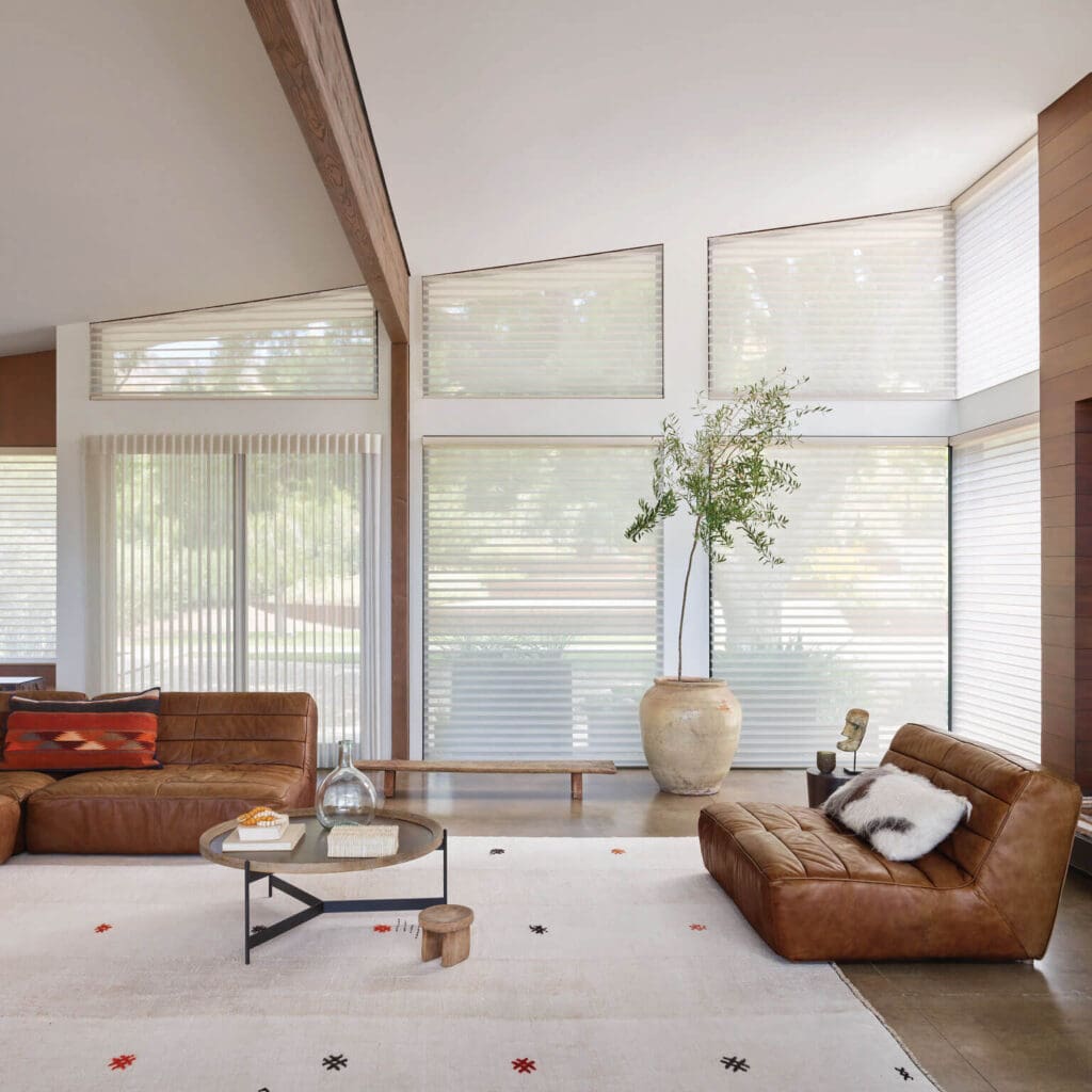 Hunter Douglas Silhouette® and Luminette® Privacy Sheers in a modern living room with large windows in NC.