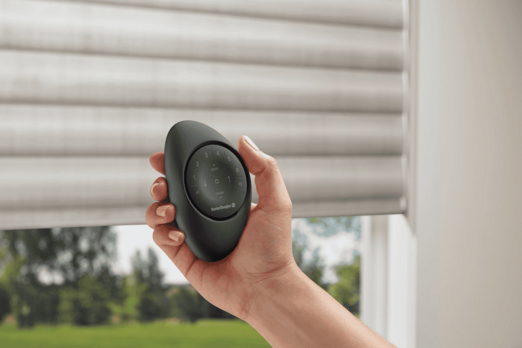 A hand holds a black remote control near a window with partially closed white blinds; a green outdoor scene is visible through the window.
